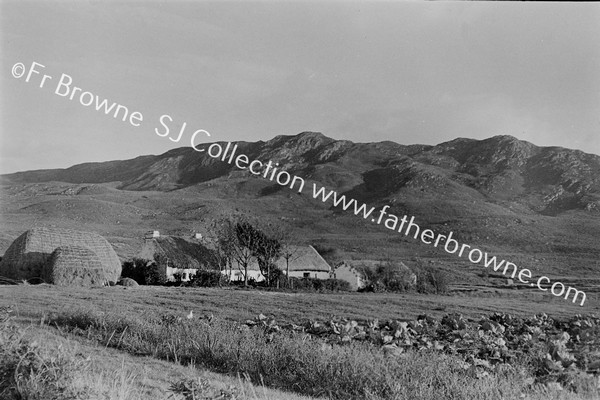 COTTAGES ON ROAD TO BALLYCROY